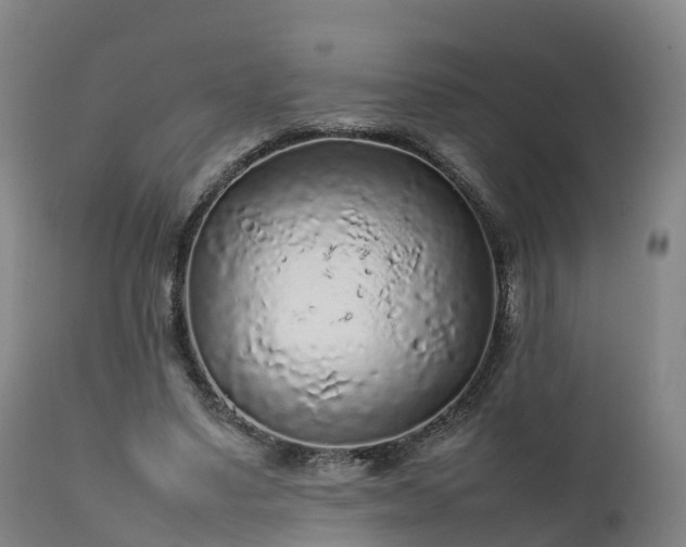 X0000111470491200907201140