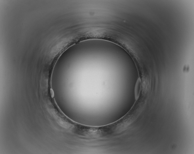 X0000111470493200907201140