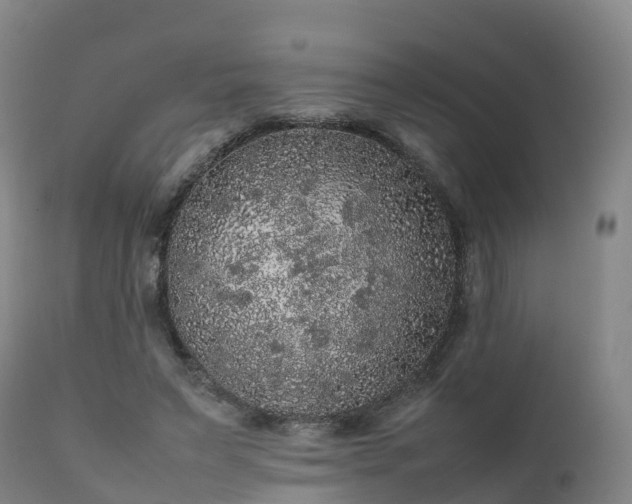 X0000111470495200907201140