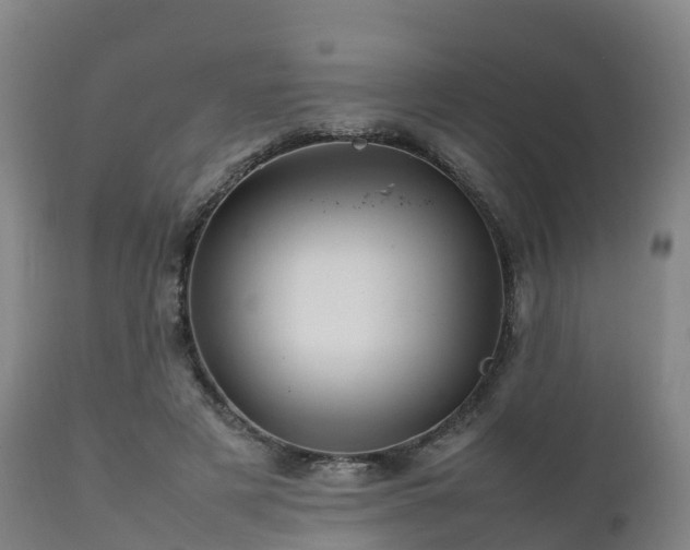 X0000111470497200907201140