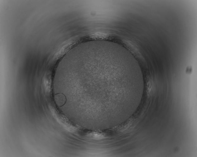 X0000111470498200907201140