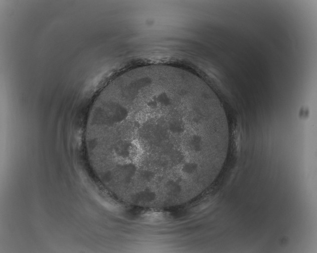 X0000111470499200907201140