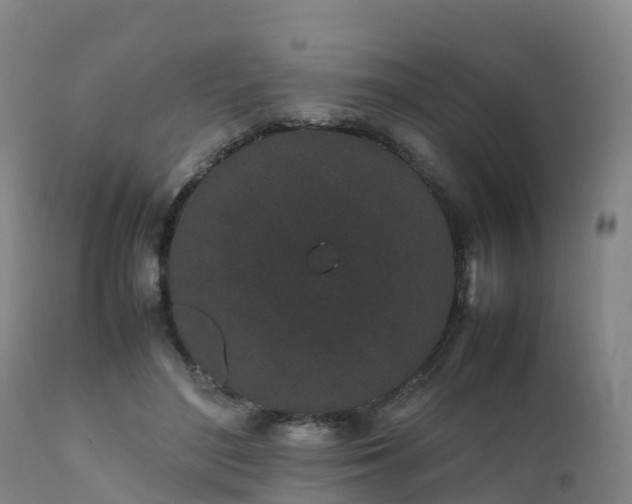 X0000111470500200907201140