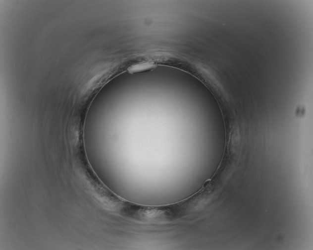 X0000111470501200907201140