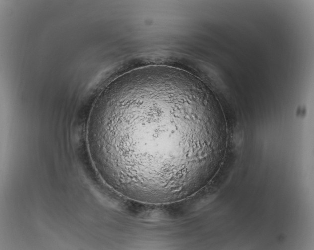 X0000111470503200907201140