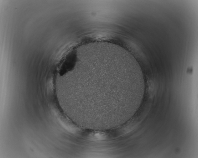 X0000111470506200907201140