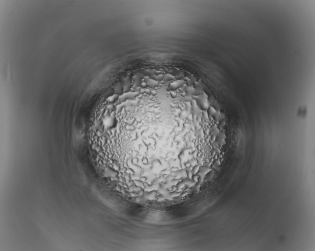 X0000111470507200907201140