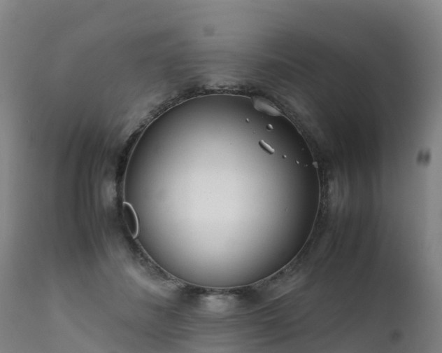 X0000111470508200907201140