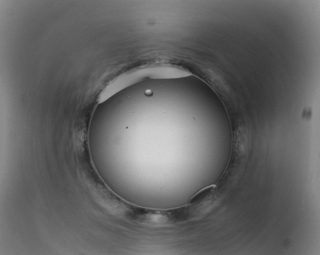 X0000111470509200907201140