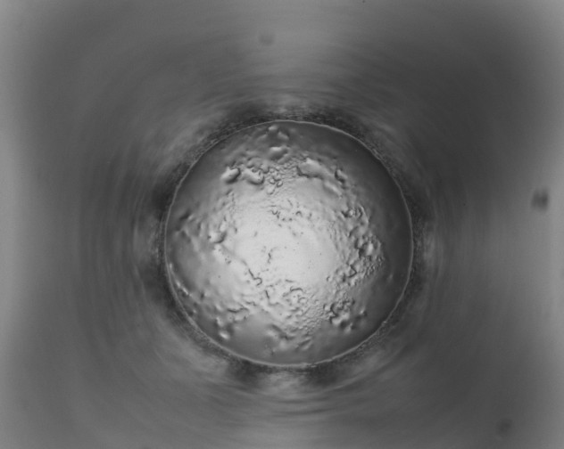 X0000111470511200907201140