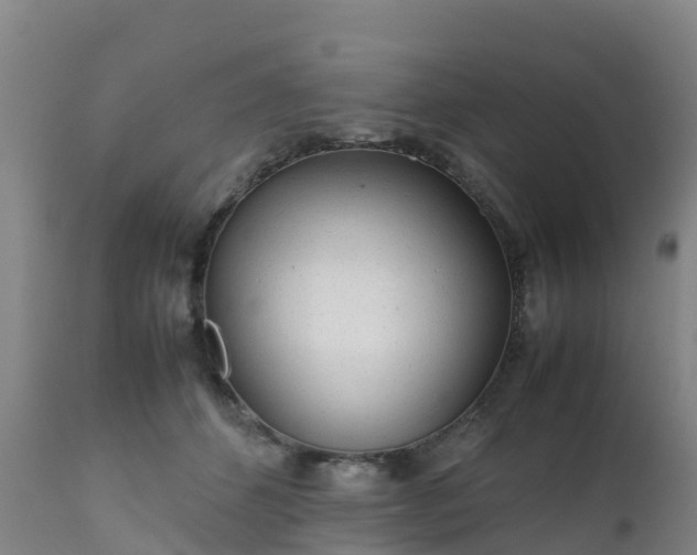 X0000111470512200907201140