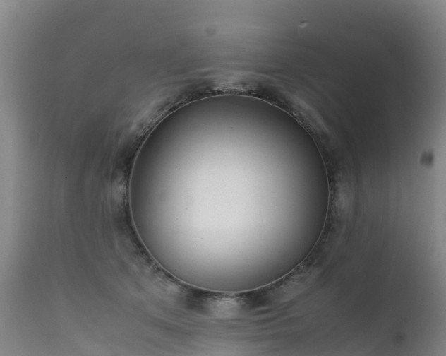 X0000111470513200907201140