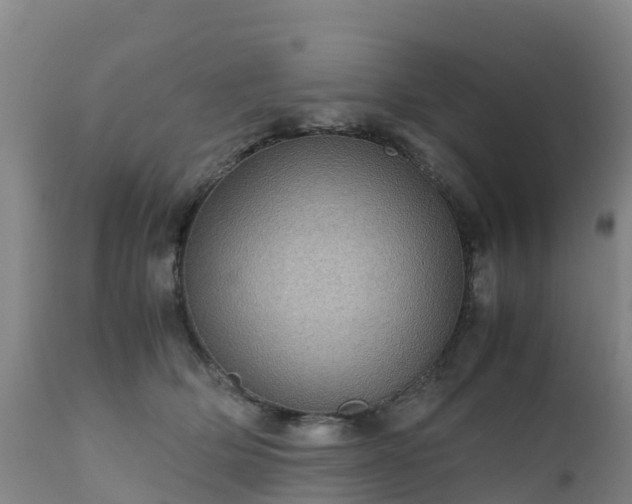 X0000111470514200907201140