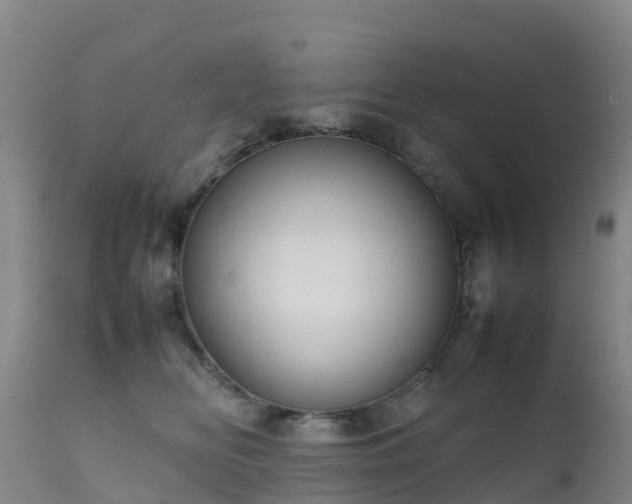 X0000111470518200907201140