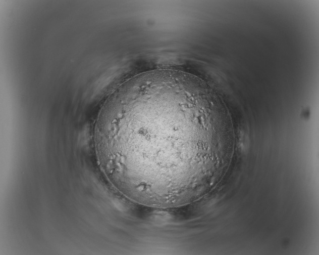 X0000111470519200907201140