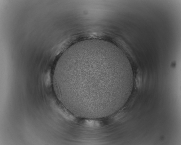 X0000111470520200907201140