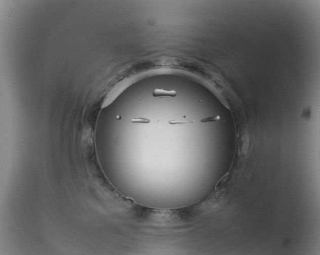 X0000111470521200907201140