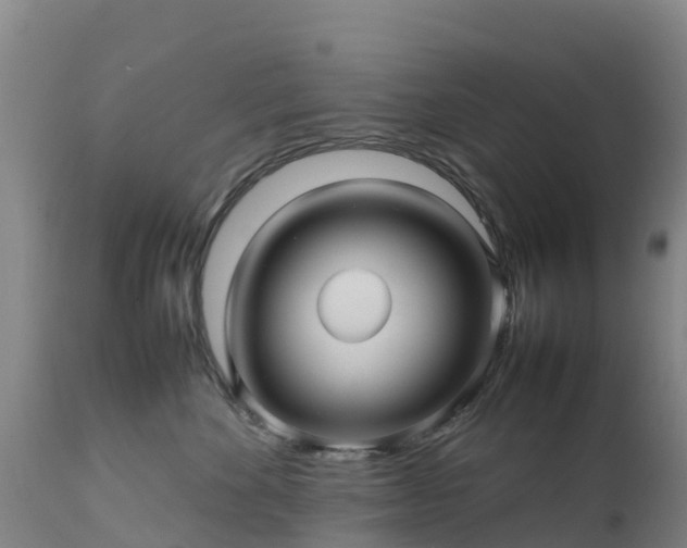 X0000111470524200907201140