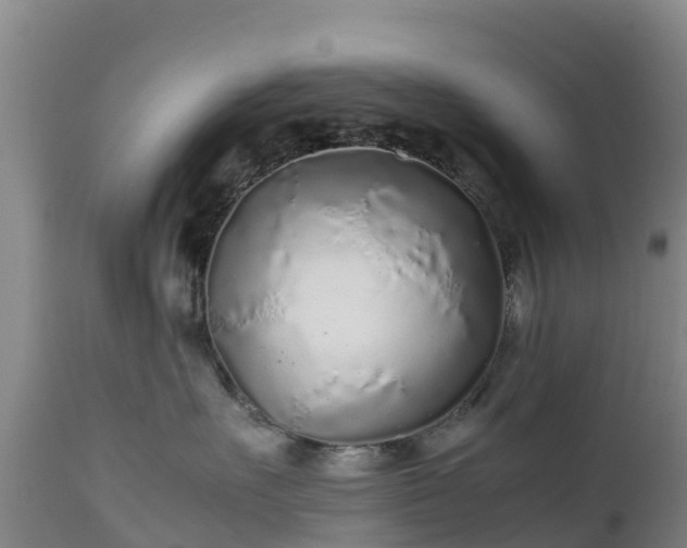 X0000111470527200907201140