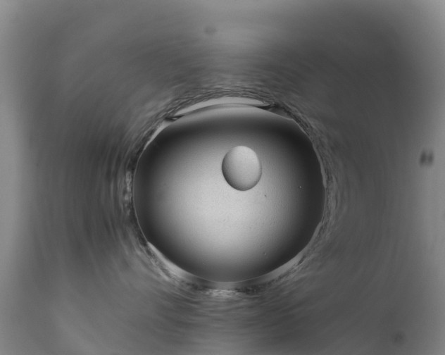 X0000111470528200907201140