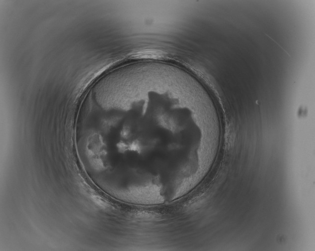 X0000111470529200907201139