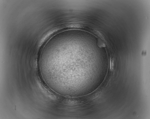 X0000111470531200907201139