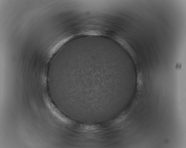 X0000111470533200907201139