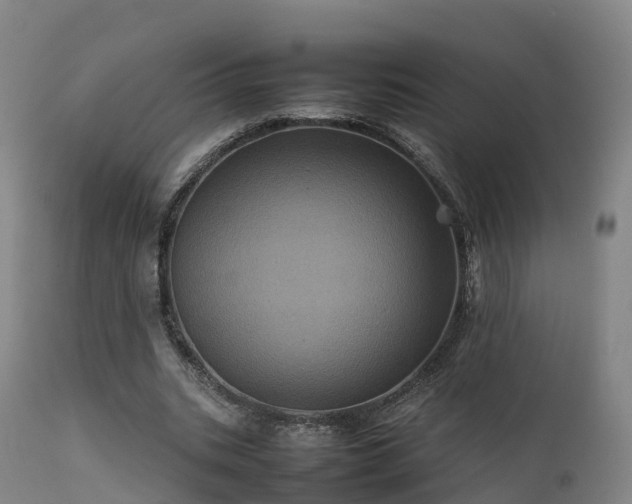 X0000111470535200907201139