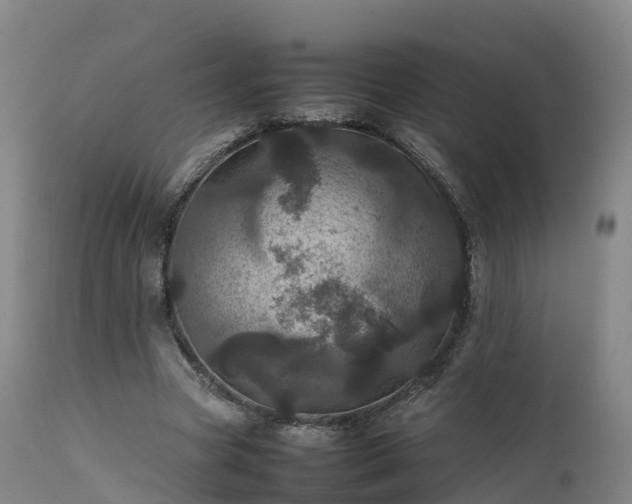 X0000111470537200907201139