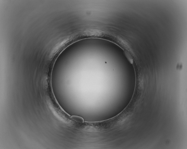 X0000111470538200907201139