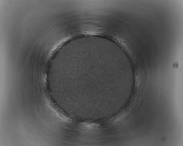 X0000111470539200907201139