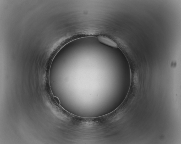 X0000111470540200907201139