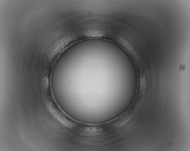 X0000111470541200907201139