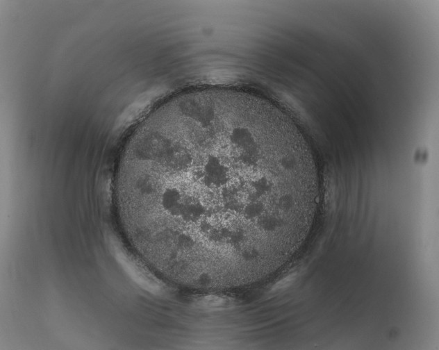 X0000111470542200907201139