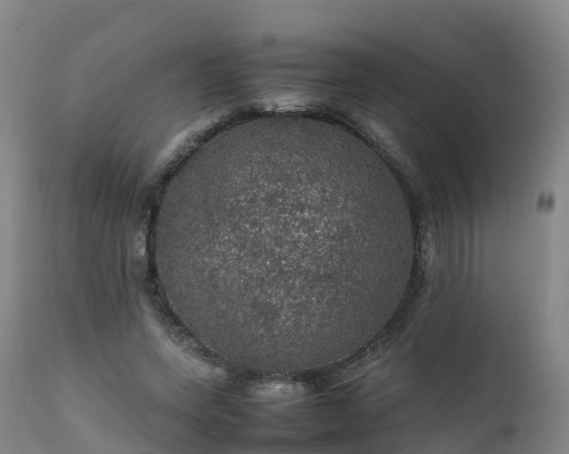 X0000111470543200907201139