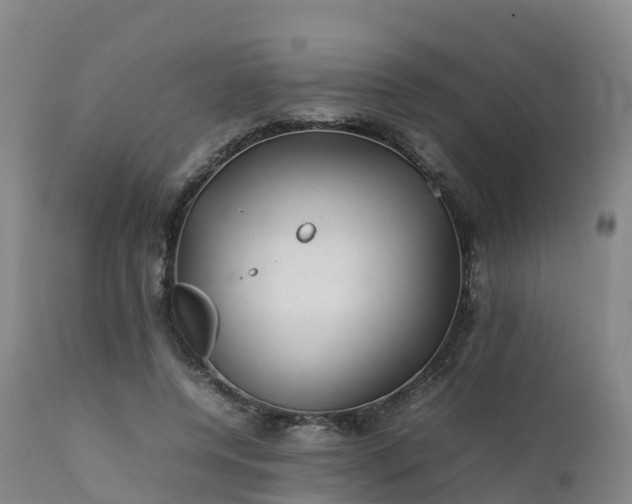 X0000111470544200907201139