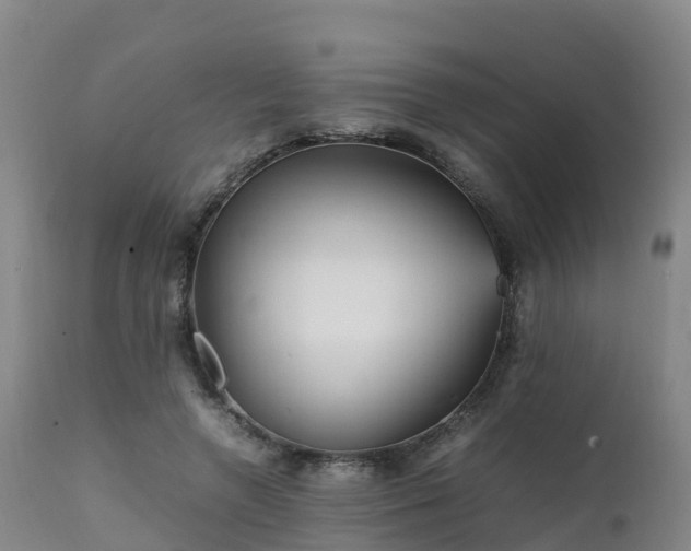 X0000111470546200907201139