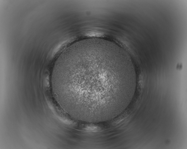 X0000111470547200907201139