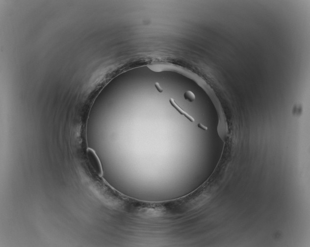 X0000111470548200907201139