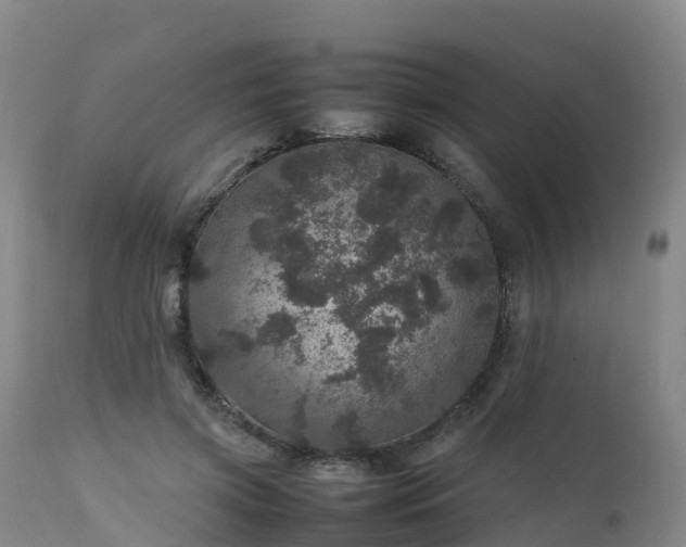 X0000111470549200907201139