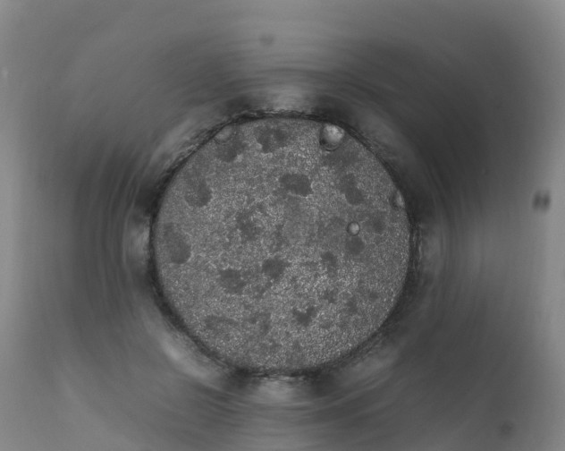 X0000111470550200907201139