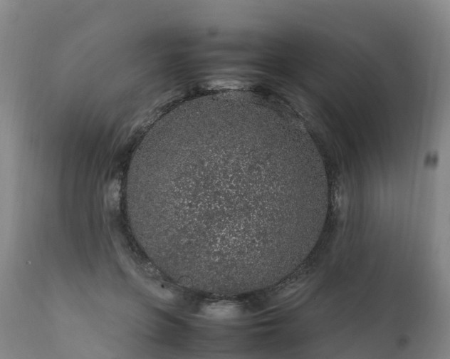 X0000111470551200907201139