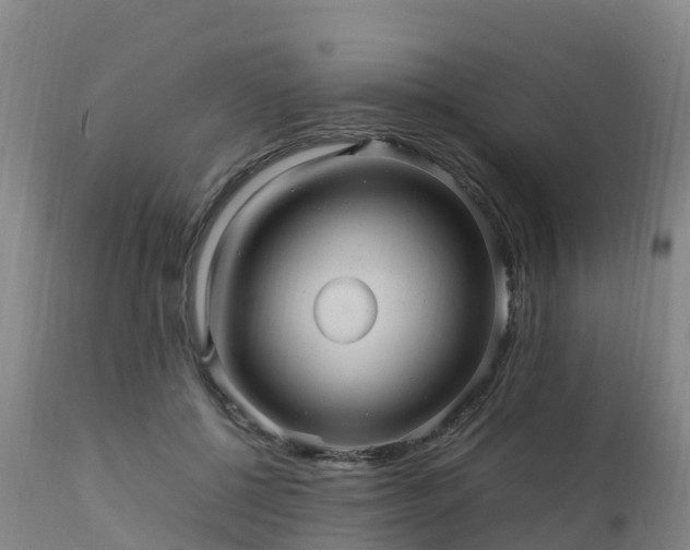 X0000111470552200907201139