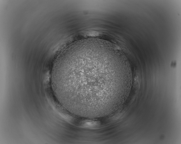 X0000111470555200907201139