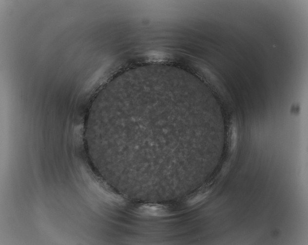 X0000111470557200907201139