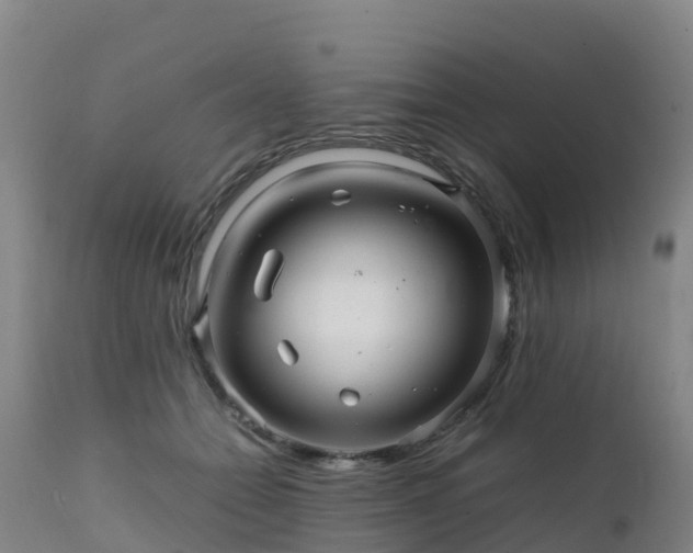 X0000111470558200907201139