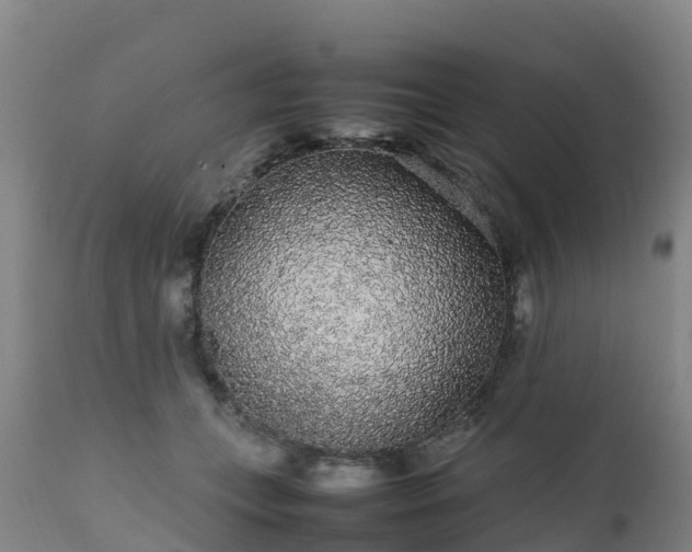 X0000111470559200907201139