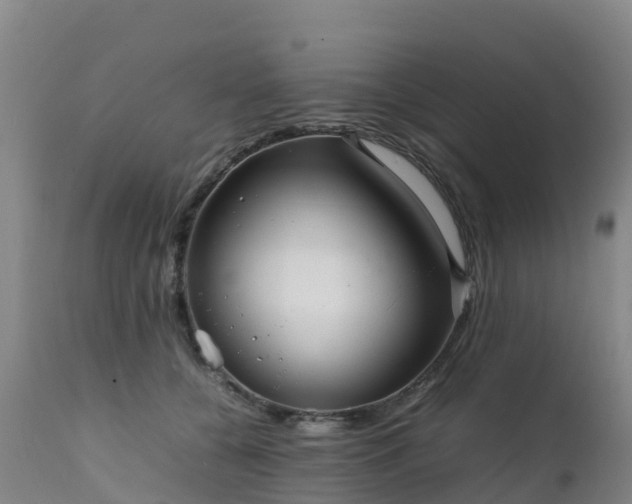 X0000111470560200907201139