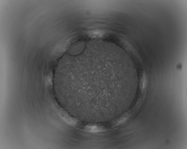 X0000111470561200907201139