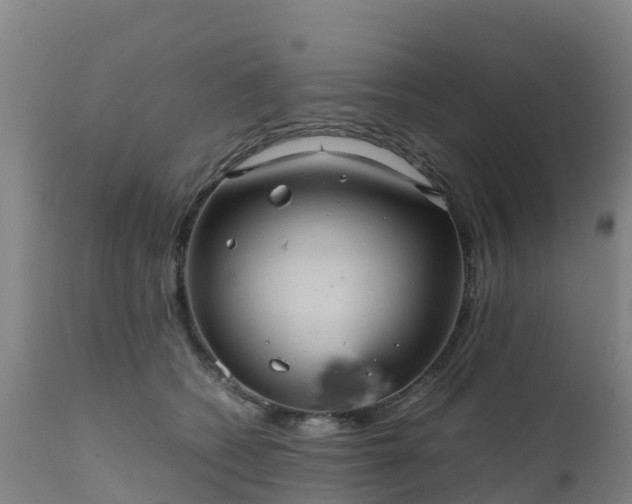 X0000111470562200907201139